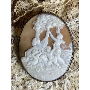 画像14: ビクトリア時代のシェルカメオブローチ