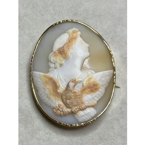 画像1: 素晴らしい三層彫りのシェルカメオブローチ