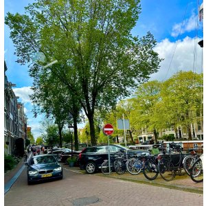 画像44: オランダ買い付け2024年9月　アムステルダムの素敵な街並み