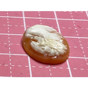 画像5: シェルカメオ　1920年