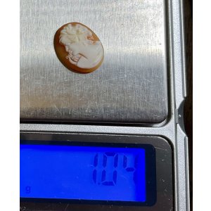 画像2: シェルカメオ　1920年