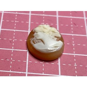 画像7: シェルカメオ　1920年