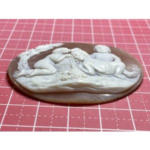 画像6: 果物が大好きなキューピッドのシェルカメオルース1880年イギリス