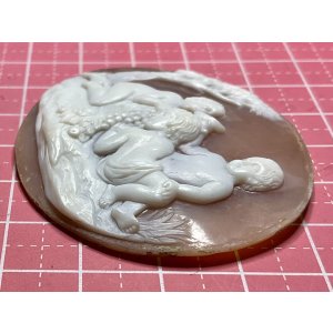 画像3: 果物が大好きなキューピッドのシェルカメオルース1880年イギリス