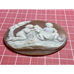 画像7: 果物が大好きなキューピッドのシェルカメオルース1880年イギリス