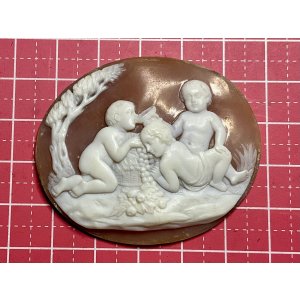 画像8: 果物が大好きなキューピッドのシェルカメオルース1880年イギリス