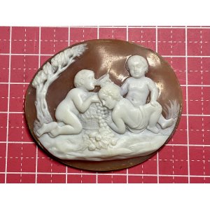 画像1: 果物が大好きなキューピッドのシェルカメオルース1880年イギリス