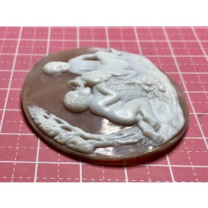 画像5: 果物が大好きなキューピッドのシェルカメオルース1880年イギリス