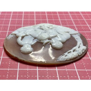 画像4: 果物が大好きなキューピッドのシェルカメオルース1880年イギリス