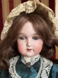 優しい顔が可愛いアーモンドマルセル