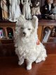 イケメンのパジャマドック売約済みです