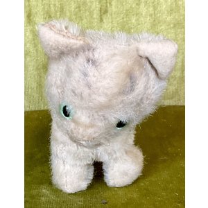 画像1: グリーンアイが可愛いグリジーキャット1960年ドイツ