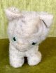 グリーンアイが可愛いグリジーキャット1960年ドイツ