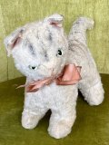淡い色合いが可愛い猫1960年ドイツ