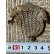 画像2: アンティークドールバッグ1900年フランス (2)