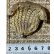 画像1: アンティークドールバッグ1900年フランス (1)