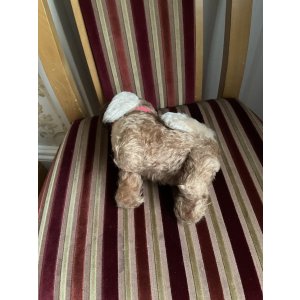 画像3: 舌ぺろが可愛いワンちゃん1940年イギリス