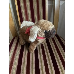 画像10: 舌ぺろが可愛いワンちゃん1940年イギリス