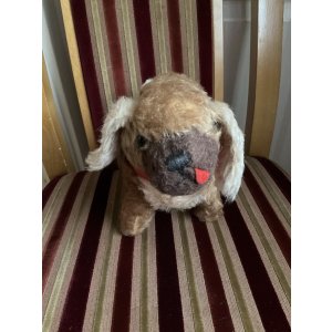 画像15: 舌ぺろが可愛いワンちゃん1940年イギリス