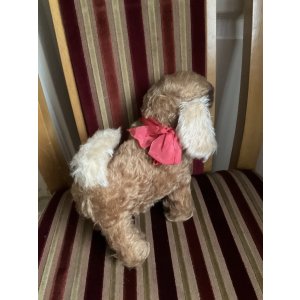 画像9: 舌ぺろが可愛いワンちゃん1940年イギリス