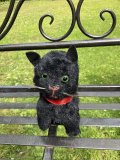 グリーンアイが可愛い黒猫ちゃん1950年イギリス