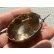 画像6: ジョージアン1780年の大きくて素晴らしいシトリンのブローチ