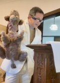 11月2日(日)午後1時15分スタート　アンティークまねきねこチャリティーオークション2025 参加申し込みのエントリーです　お問い合わせからお申込みください