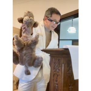 画像1: 11月2日(日)午後1時15分スタート　アンティークまねきねこチャリティーオークション2025 参加申し込みのエントリーです　お問い合わせからお申込みください