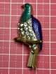 可愛い鳥のビンテージブローチ1940年イギリス