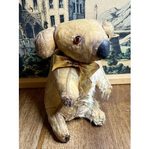 画像1: 本物のコアラを使って作った可愛いコアラ1950年オーストラリア