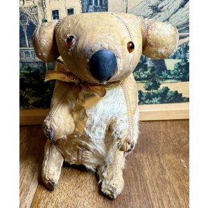 画像5: 本物のコアラを使って作った可愛いコアラ1950年オーストラリア