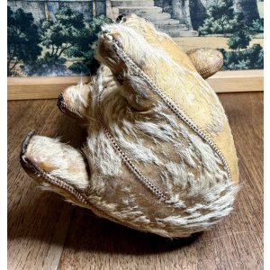 画像3: 本物のコアラを使って作った可愛いコアラ1950年オーストラリア