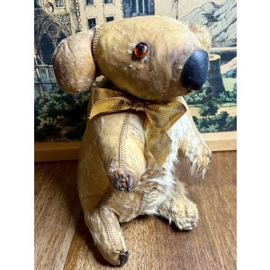 画像12: 本物のコアラを使って作った可愛いコアラ1950年オーストラリア