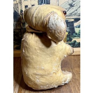 画像10: 本物のコアラを使って作った可愛いコアラ1950年オーストラリア