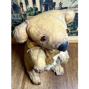 画像13: 本物のコアラを使って作った可愛いコアラ1950年オーストラリア