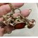 画像5: 素晴らしいシールコレクションペンダントトップ1860年イギリス