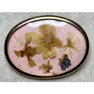 画像1: 可愛い押し花のビンテージブローチ1960年イギリス