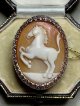 跳ね馬で縁起の良いシェルカメオリング1990年イタリア(中国)