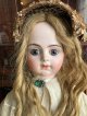 大きな目がチャームポイント　ブリュジュンR1890年フランス