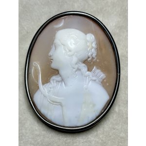 画像1: 月が綺麗なシェルカメオブローチ1880年イギリス