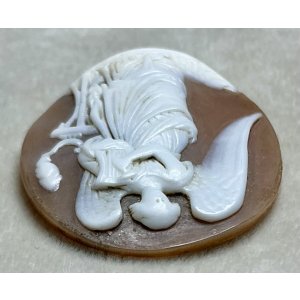 画像6: ギリシャ神話　カメオルース　1880年イギリス