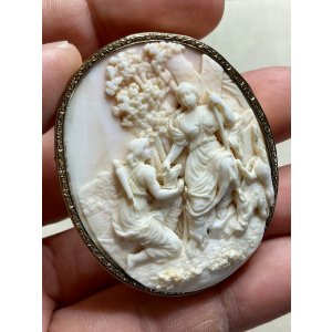 画像10: 素晴らしい彫刻のコンクシェルカメオブローチ1880年イギリス