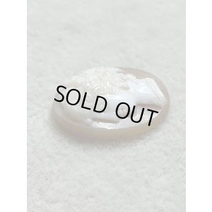 画像7: シェルカメオルース1880年イギリス