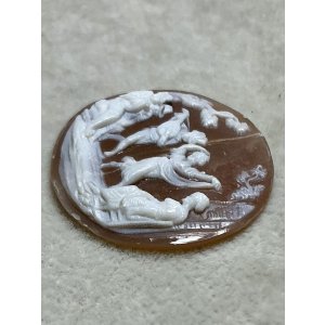 画像5: シェルカメオルース1880年イギリス