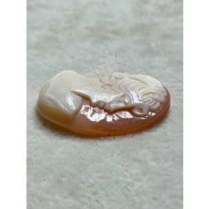 画像5: シェルカメオルース1920年イギリス