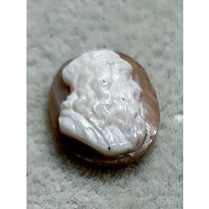 画像8: シェルカメオルース1880年イギリス