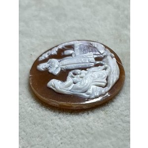 画像7: シェルカメオルース1880年イギリス