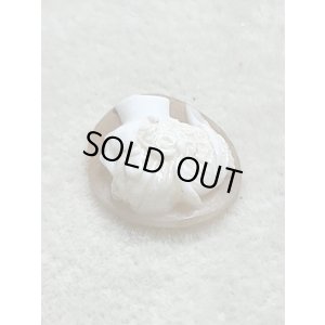 画像6: シェルカメオルース1880年イギリス