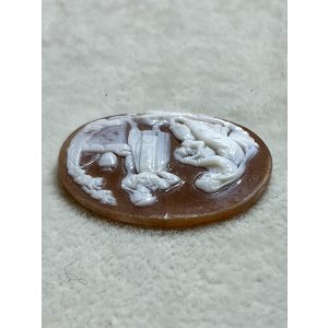 画像6: シェルカメオルース1880年イギリス