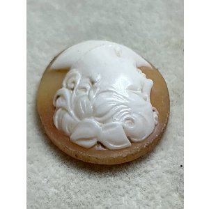 画像6: シェルカメオルース1920年イギリス